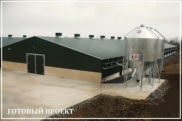 Этапы возведения птицефабрики от завода ВелесТент-чкв